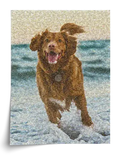 Custom Dog Photo Mosaic