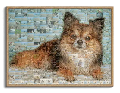 Custom Dog Photo Mosaic