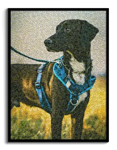 Custom Dog Photo Mosaic