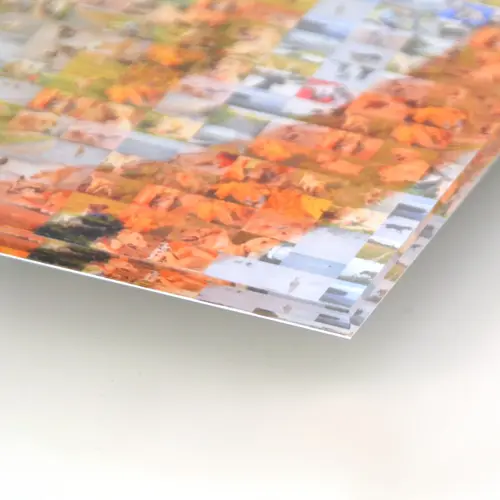 Photo mosaic on acrylic glass: detail view with wall mount
